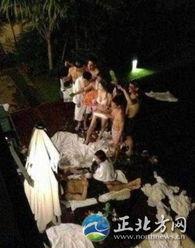 聚众明星网红,明星网红的璀璨人生