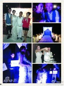 聚众明星网红,明星网红的璀璨人生