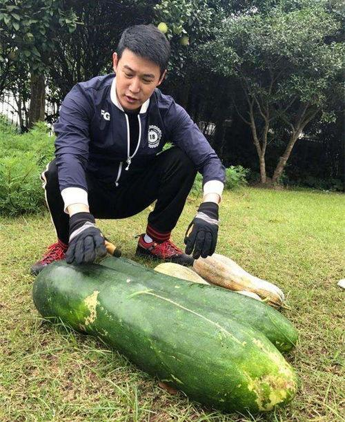 林州吃瓜网红爆料,揭秘当地美食背后的故事