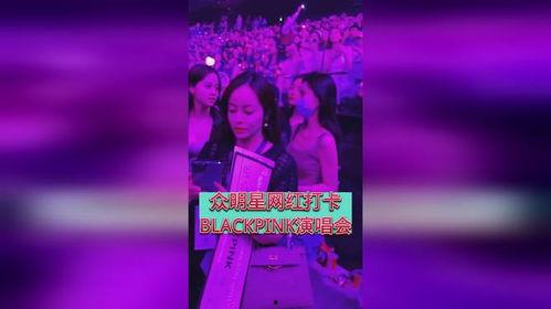 明星网红演唱会视频,明星网红演唱会精彩瞬间回顾