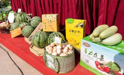 淮北吃瓜最新事件爆料,揭秘背后惊人真相！