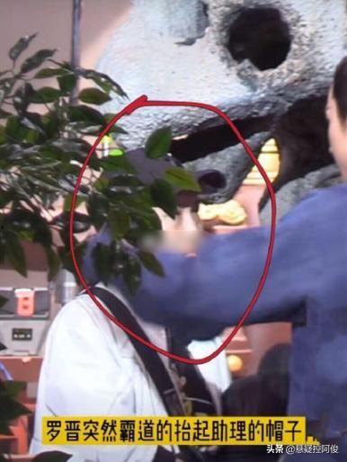 罗晋的吃瓜爆料,娱乐圈幕后真相大揭秘