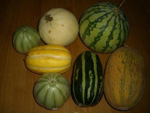 各种网红视频爆料吃瓜