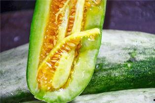 155网红吃瓜爆料,155网红揭秘娱乐圈吃瓜大事件