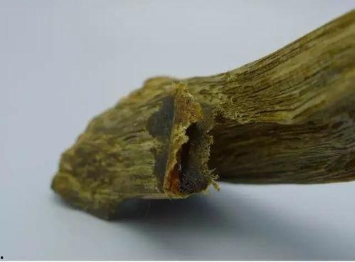 沉香吃瓜爆料视频大全,沉香吃瓜爆料视频大全精彩回顾