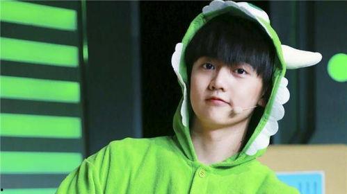 吃瓜爆料焉栩嘉,吃瓜爆料背后的真相与反思