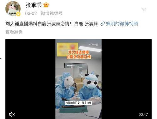 吃瓜爆料白鹿张凌赫