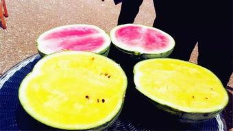 在哪里看吃瓜爆料,揭秘吃瓜爆料热门聚集地